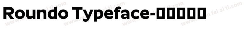 Roundo Typeface字体转换